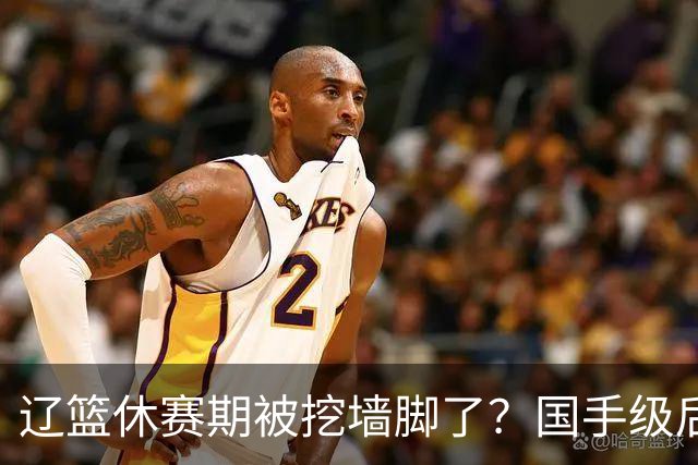 辽篮休赛期被挖墙脚了？国手级后卫恐被交易：变相逼着赵继伟走人